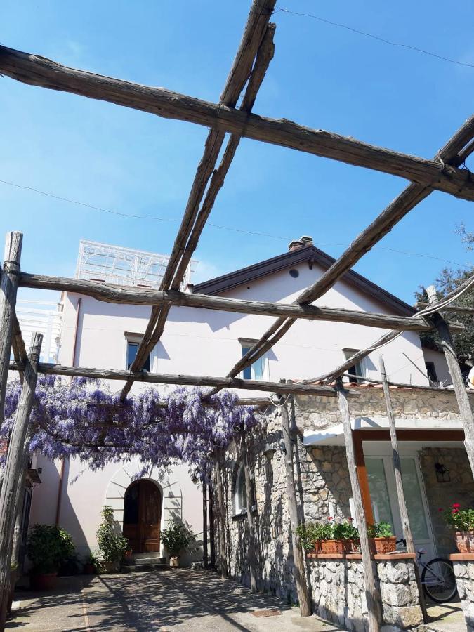 Shedir Apartment Vico Equense Exterior foto