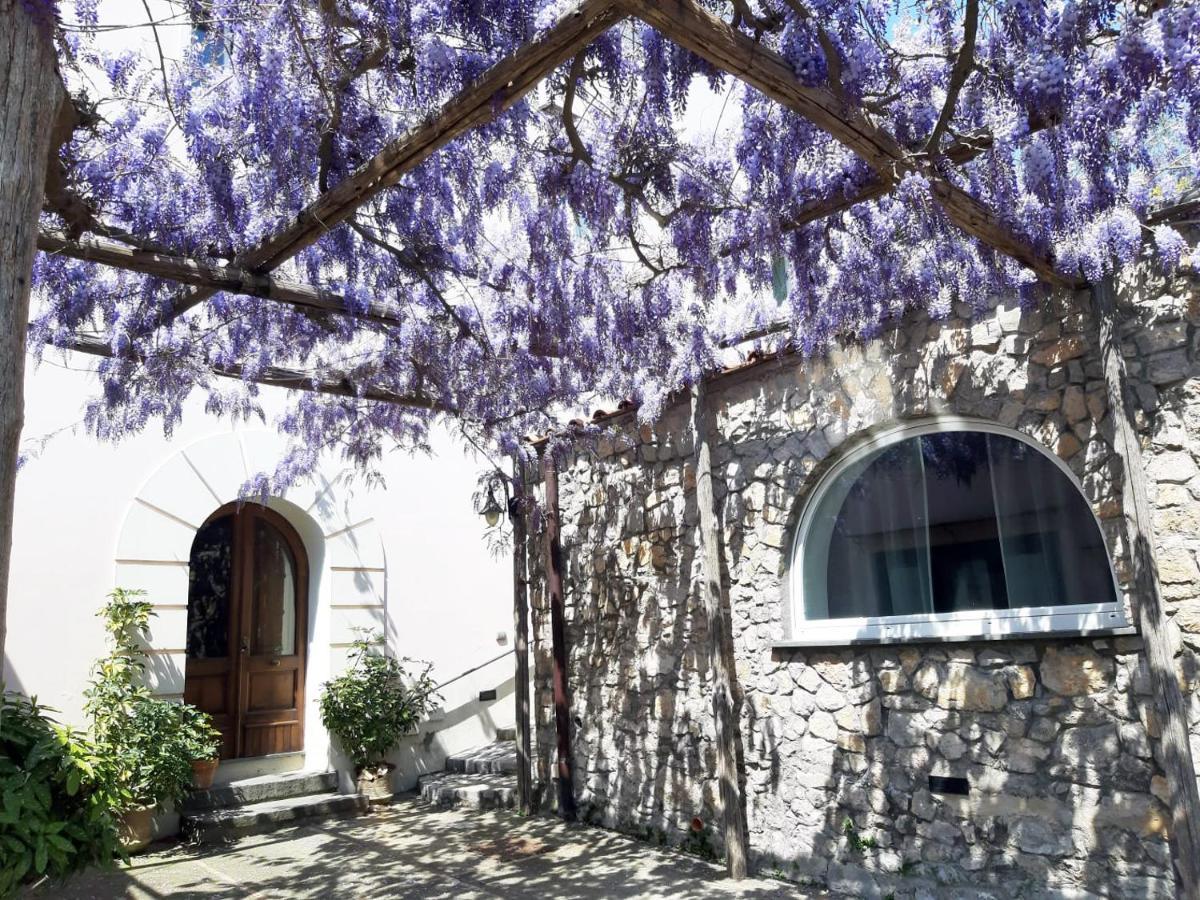 Shedir Apartment Vico Equense Exterior foto