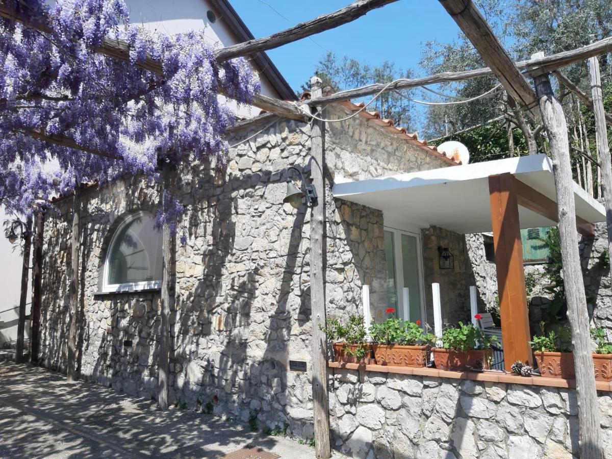 Shedir Apartment Vico Equense Exterior foto